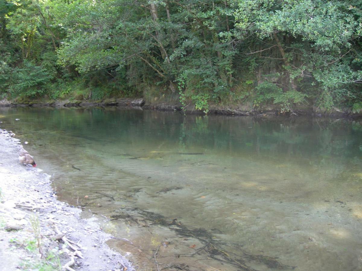 Appartement Les Rives De L'Ariege Luzenac 외부 사진